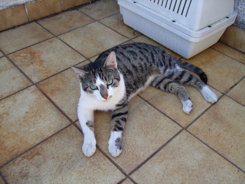 Ostern 2007 Orleshausen 039 